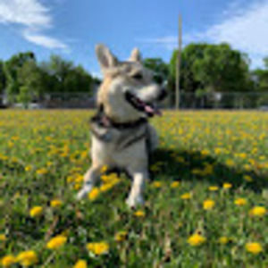 Meet your Posher, Leah